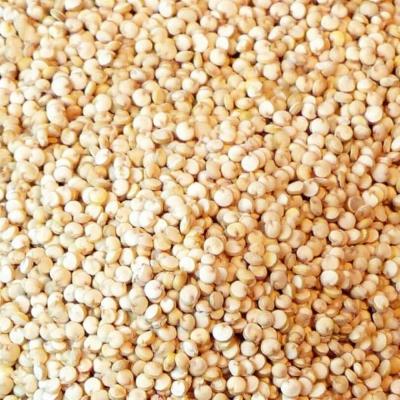 Quinoa Wit
